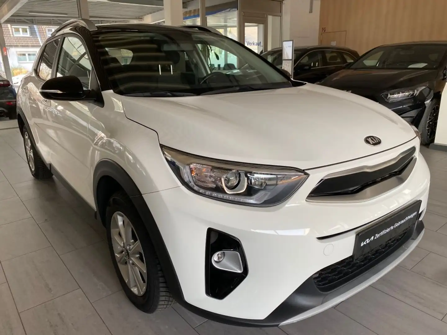 Kia Stonic 1.2 Vision - 1