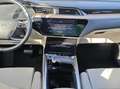 Audi Q8 e-tron 55 e-tron quattro BANG & OLUFSEN HEAD- Schwarz - thumbnail 11
