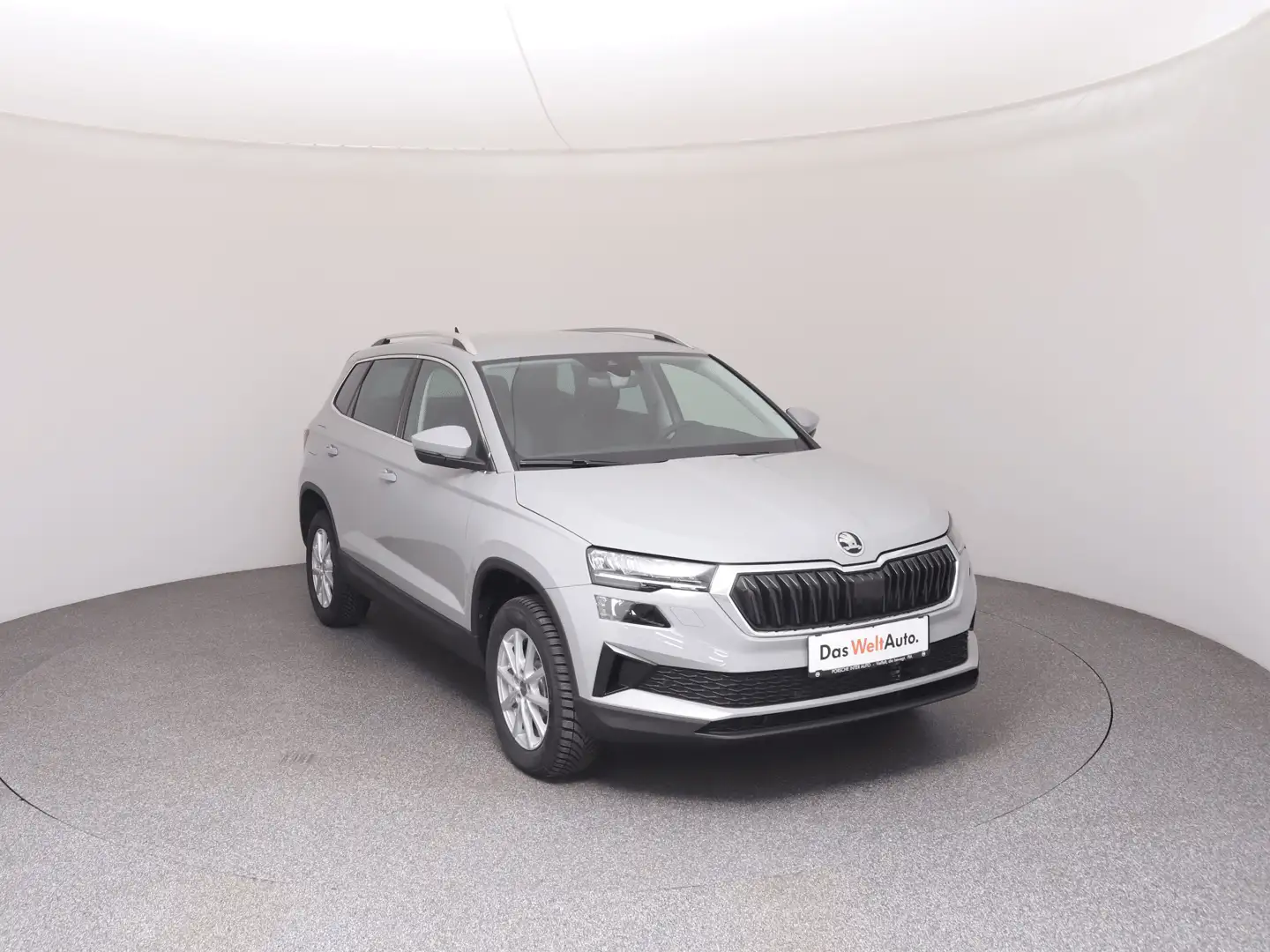 Skoda Karoq Selection TDI Grau - 2