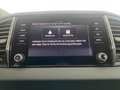 Skoda Karoq Selection TDI Grau - thumbnail 21
