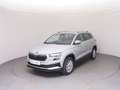 Skoda Karoq Selection TDI Grau - thumbnail 1