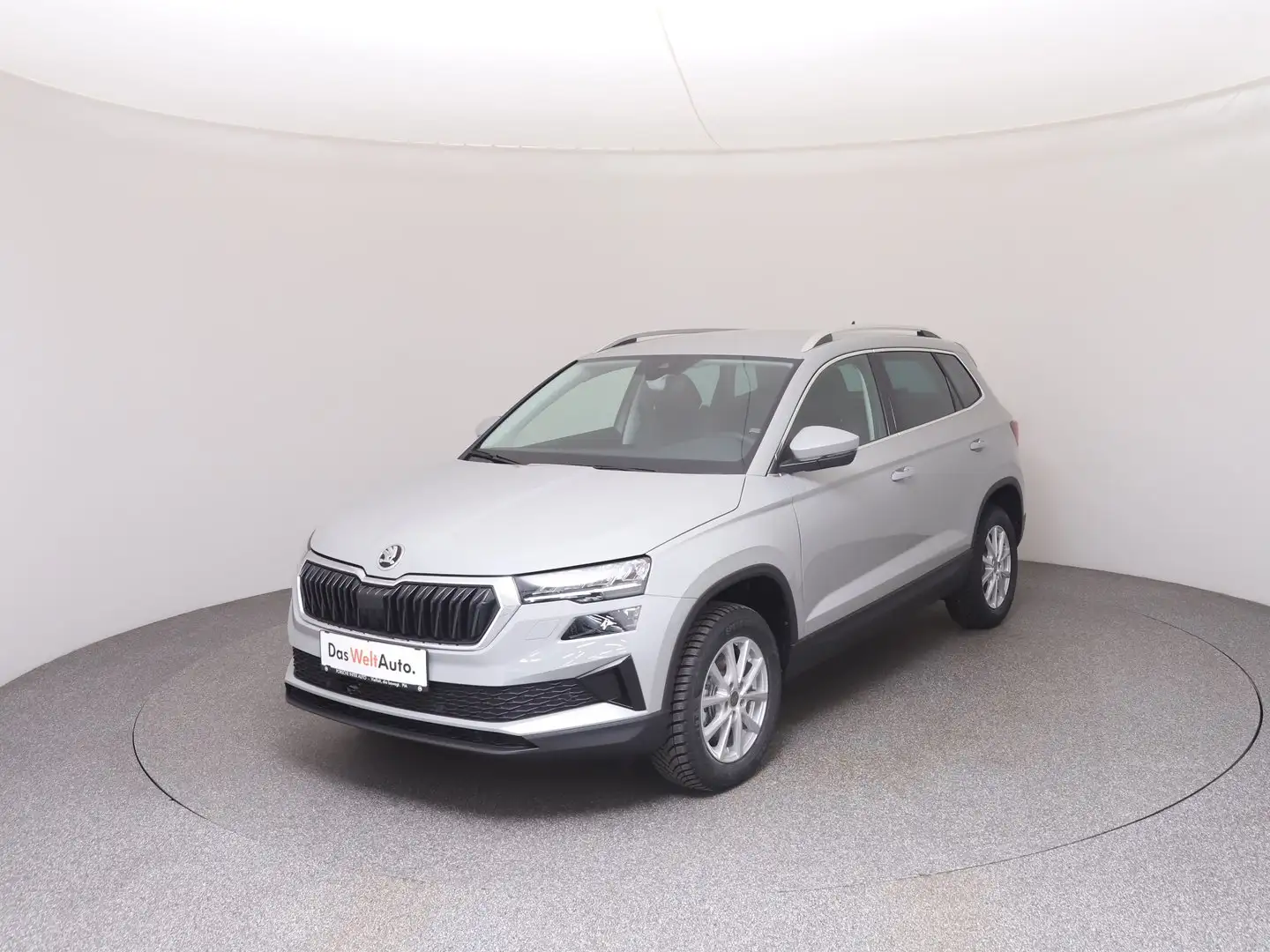 Skoda Karoq Selection TDI Grau - 1