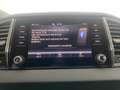 Skoda Karoq Selection TDI Grau - thumbnail 19