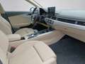 Audi A4 Avant 30 TDI/136 CV S tronic Business Grigio - thumbnail 14