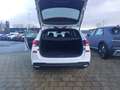 Hyundai i30 Advantage Kombi  1.5 T-GDI (140PS) 48V 7-DCT Weiß - thumbnail 8