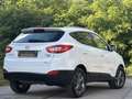 Hyundai iX35 2,0 CRDi GO 4WD *GARANTIE, 1.BESITZ* Weiß - thumbnail 6