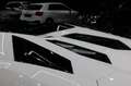 Lamborghini Aventador S Roadster LP-740 *LED*Lift*Kamera* Blanco - thumbnail 12