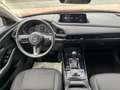 Mazda CX-30 e-SKYACTIV G Center-Line,Design-Paket,Garantie bis Rouge - thumbnail 10