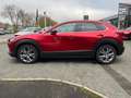 Mazda CX-30 e-SKYACTIV G Center-Line,Design-Paket,Garantie bis Rouge - thumbnail 3