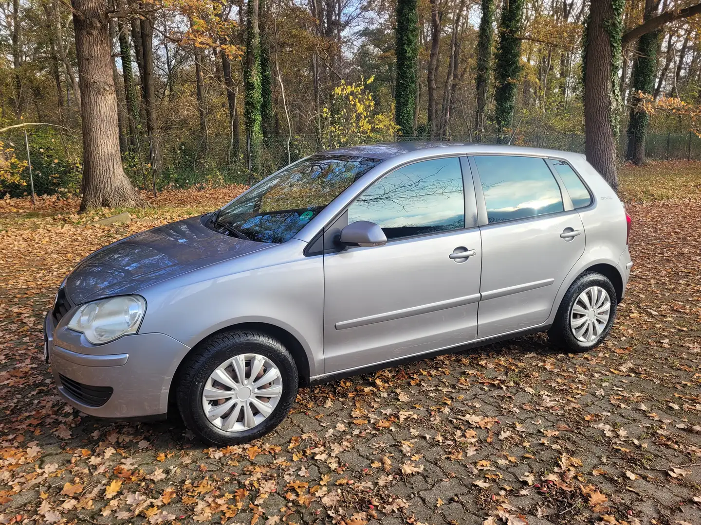 Volkswagen Polo Goal Grau - 1