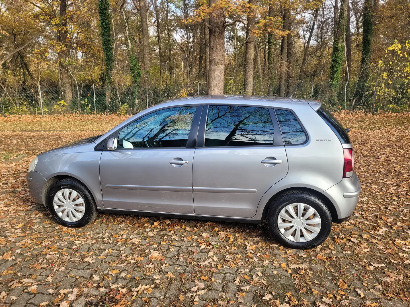 Volkswagen Polo Goal Grau - 2