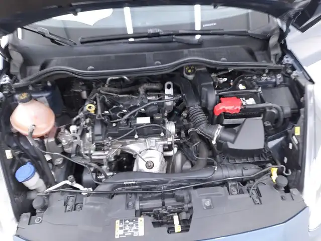 Ford Fiesta view 13
