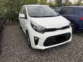 Kia Picanto Picanto 1.0 dpi Style amt Weiß - thumbnail 2