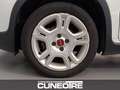 Fiat Panda Panda 1.0 FireFly S&S Hybrid City Life Bianco - thumbnail 7