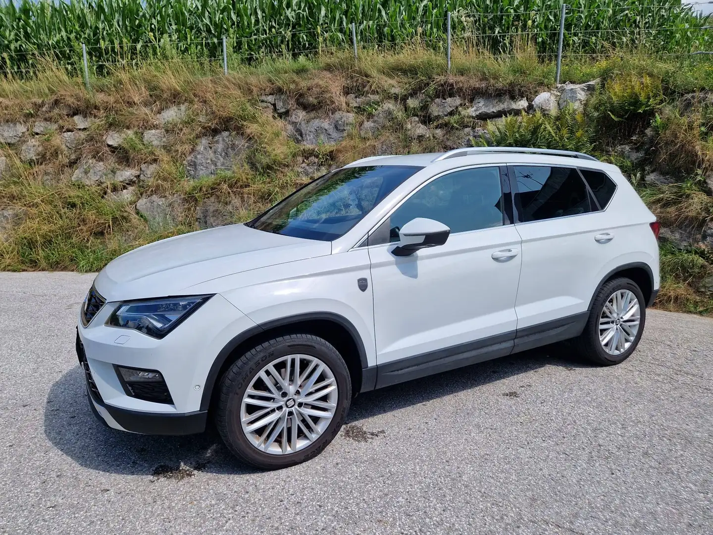 SEAT Ateca Ateca 2,0 Xcellence 4WD TDI DSG Xcellence Weiß - 1