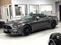 Ford Mustang Cabrio 2.3 Cuir Clim Gps Xenon Camera Garantie 1An Gris - thumbnail 13
