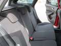 Ford Focus Turnier Sport Rosso - thumbnail 10