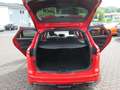 Ford Focus Turnier Sport Rosso - thumbnail 7