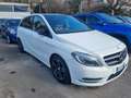 Mercedes-Benz B 200 Classe B - T246 cdi (be) Executive Weiß - thumbnail 3