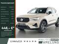 Volvo XC40 B3 B DKG Plus Dark LED KAMERA H/K 360° Beige - thumbnail 1