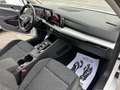 Volkswagen Golf 1.0 etsi evo Life 110cv dsg Weiß - thumbnail 14