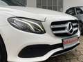 Mercedes-Benz E 300 d T *Avantgarde*AHK*Kamera*Service NEU* Blanc - thumbnail 10