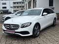 Mercedes-Benz E 300 d T *Avantgarde*AHK*Kamera*Service NEU* Blanc - thumbnail 3