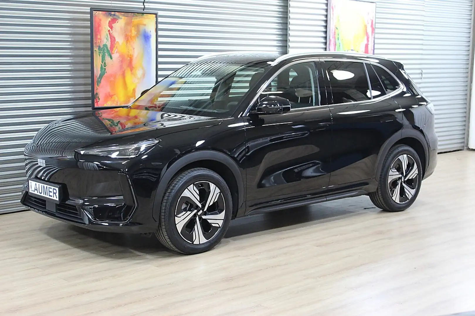 Geely E5 Max 60kWh-Batterie Schwarz - 1