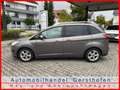 Ford Grand C-Max 1.6 Start-Stop-System Champions Edition Grau - thumbnail 6
