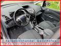 Ford Grand C-Max 1.6 Start-Stop-System Champions Edition Grau - thumbnail 7
