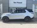 Land Rover Discovery D250 R-Dynamic SE AWD Auto. 23.5MY Argent - thumbnail 14