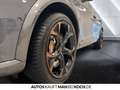 CUPRA Formentor 2.0 TSI DSG 4DRIVE BEATS BREMBO DCC Grijs - thumbnail 15