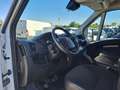 Fiat Ducato CITROEN PM TA ALLESTITO OFF.MOB.2.2 HDI EU6 Blanc - thumbnail 14