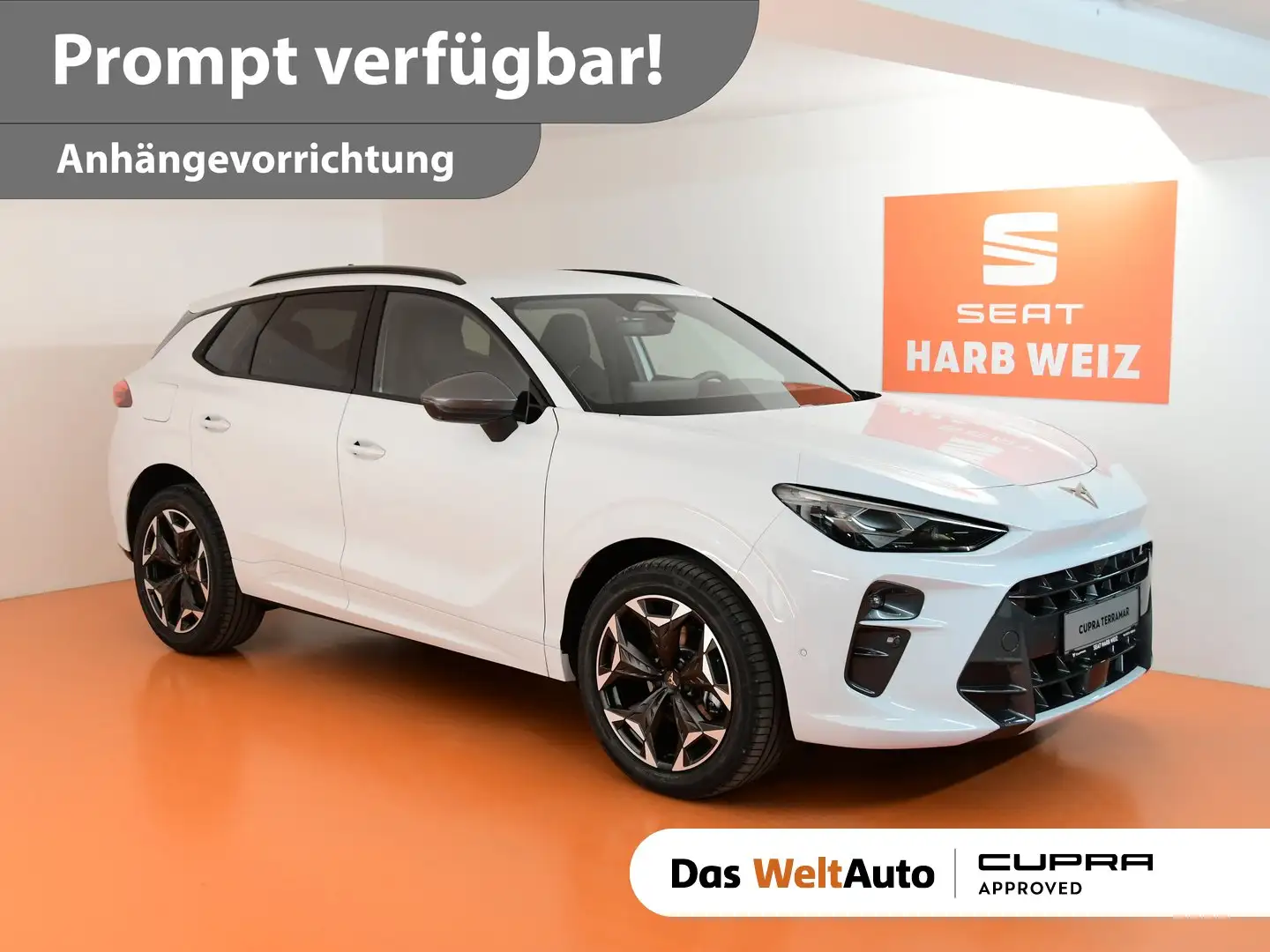 CUPRA Terramar 1.5 e-TSI 150 PS DSG Weiß - 1