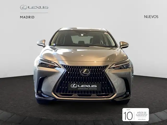 Lexus NX 300h 350h F Sport 4WD