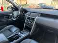 Land Rover Discovery Sport 2.0 td4 SE awd 150cv auto AUTOCARRO Verde - thumbnail 9