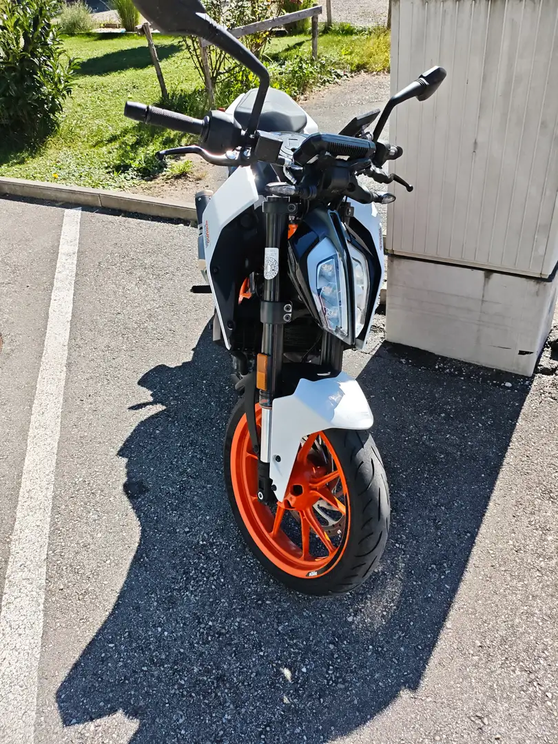 KTM 390 Duke Weiß - 2