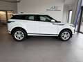 Land Rover Range Rover Evoque 2,0 D150 Aut. Weiß - thumbnail 6