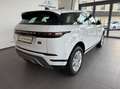 Land Rover Range Rover Evoque 2,0 D150 Aut. Weiß - thumbnail 5