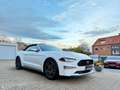 Ford Mustang Performance Cabrio*Kamera*Leder*LED* Weiß - thumbnail 4