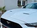 Ford Mustang Performance Cabrio*Kamera*Leder*LED* Blanc - thumbnail 9