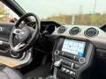 Ford Mustang Performance Cabrio*Kamera*Leder*LED* Weiß - thumbnail 12