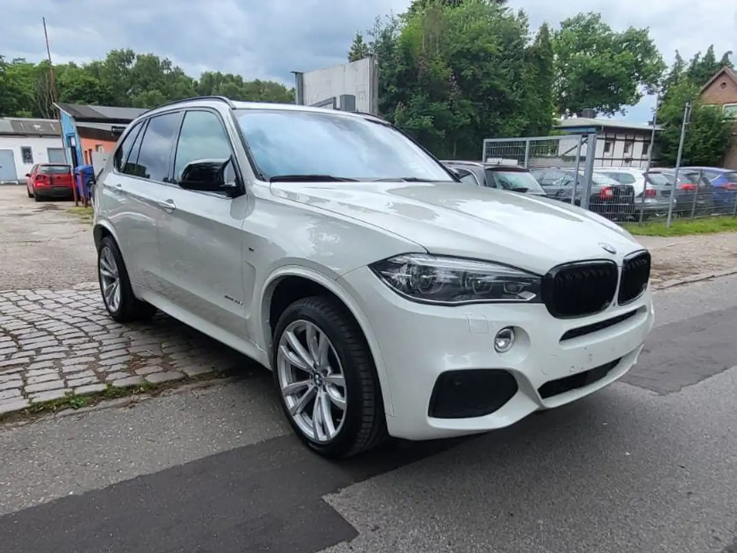 BMW X5 XDrive 30 d-7Sitzer Weiß - 1