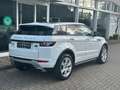 Land Rover Range Rover Evoque Dynamic 2.0 Si4 Panorama Blanco - thumbnail 5