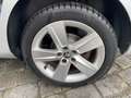 Skoda Fabia Combi 1.2 TSI Green tec Joy SHZ*PDC*LM* Argintiu - thumbnail 12