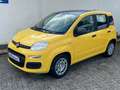 Fiat Panda 1.0 GSE Pandina Hybrid Dach schwarz Jaune - thumbnail 2