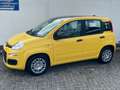 Fiat Panda 1.0 GSE Pandina Hybrid Dach schwarz Jaune - thumbnail 4