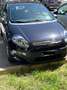 Fiat Punto Evo Punto III 2009 Evo 5p 1.3 mjt Fun 75cv Nero - thumbnail 1