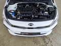 Kia Rio 1.2 GT-Line Klimaaut.|SHZ|RFK Weiß - thumbnail 24