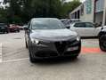 Alfa Romeo Stelvio Stelvio 2.0 T AWD Veloce TI Gris - thumbnail 1